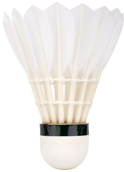 24/2/si/badminton-zogice-yonex-as-50-2.jpg