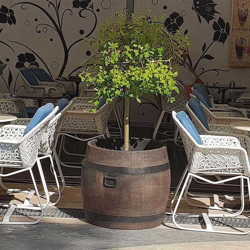 Cvetlična korita Bolero L