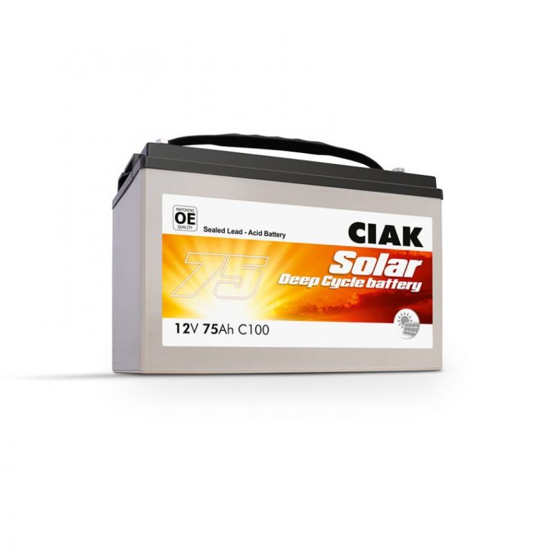 ciak agm servisni akumulator deepcycle 105 230ah