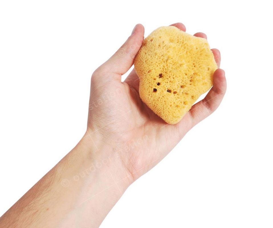 Naravna jadranska spužva za tuširanje 9- 18cm 9-10cm