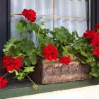 Pravokotna balkonska korita Planika L Terakota