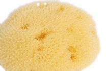 Naravna jadranska spužva za obraz