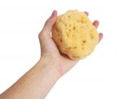 Naravna jadranska spužva za tuširanje 9- 18cm 12-14cm