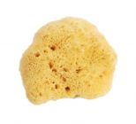 Naravna jadranska spužva za tuširanje 9- 18cm 9-10cm