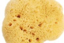 Naravna jadranska spužva za tuširanje 9- 18cm 9-10cm