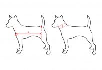 Aquarius rešilni jopič za psa S